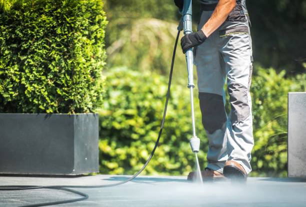 Solar Panel Cleaning in Addison, WV